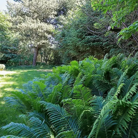 6 Person In Blokhus-by Traum Semesterbostad Blokhus