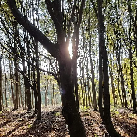 6 Person In Blokhus-by Traum